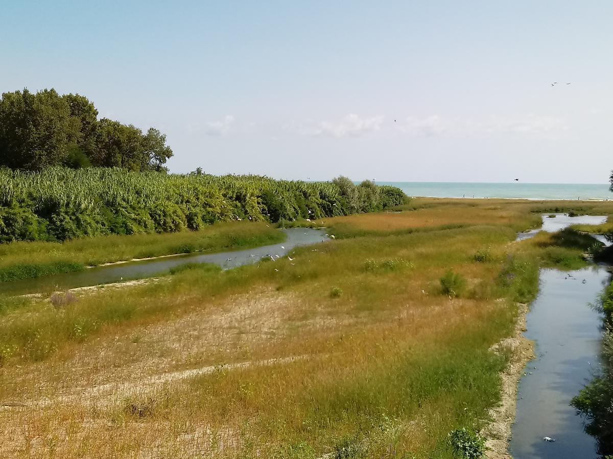 Residenza Corso Baccio Apartment Sant'Elpidio a Mare Luaran gambar